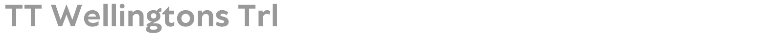TT Wellingtons font preview